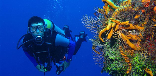 How to Prepare for a Scuba Diving Holiday
