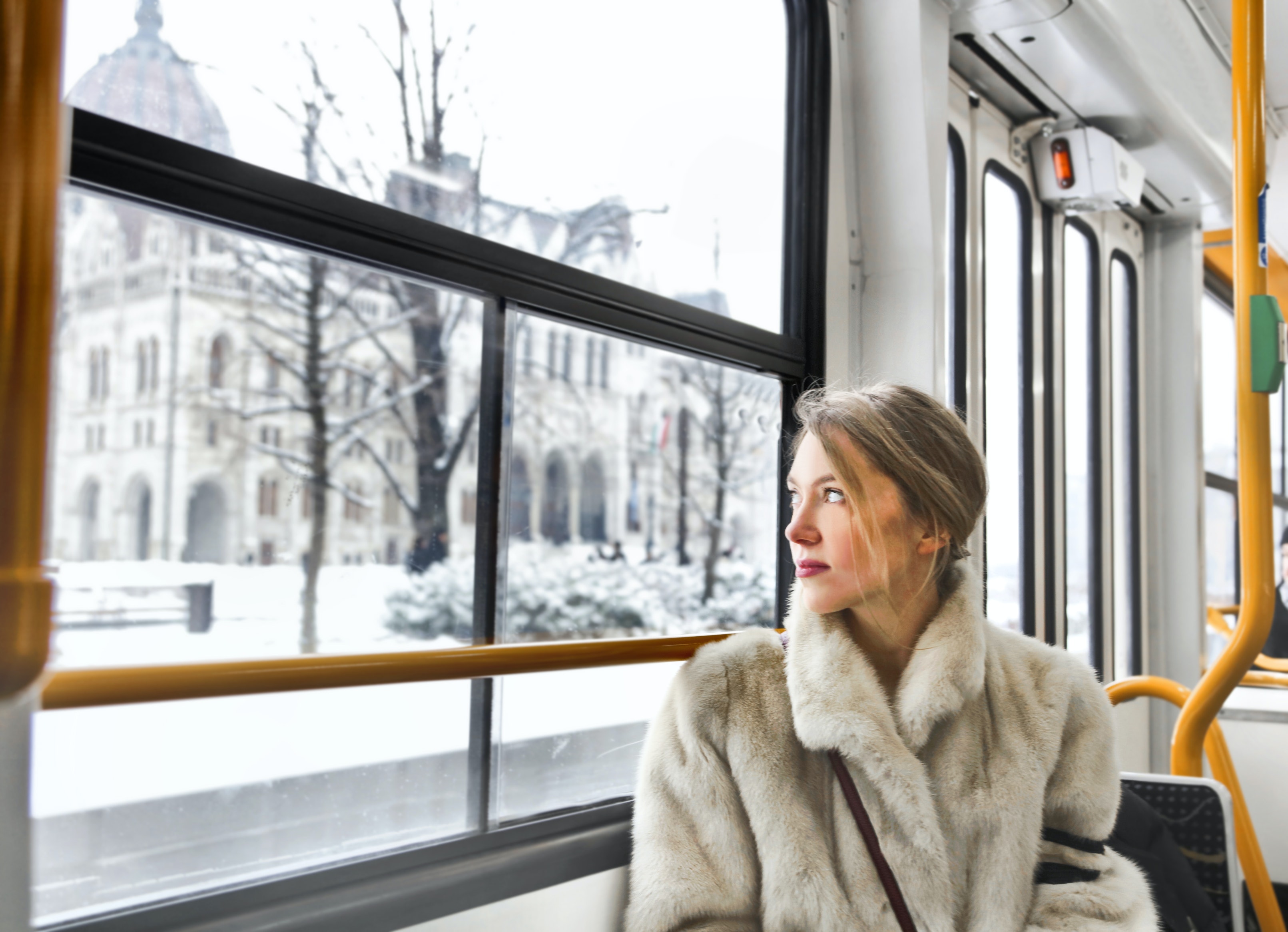 Women in furry coat on train